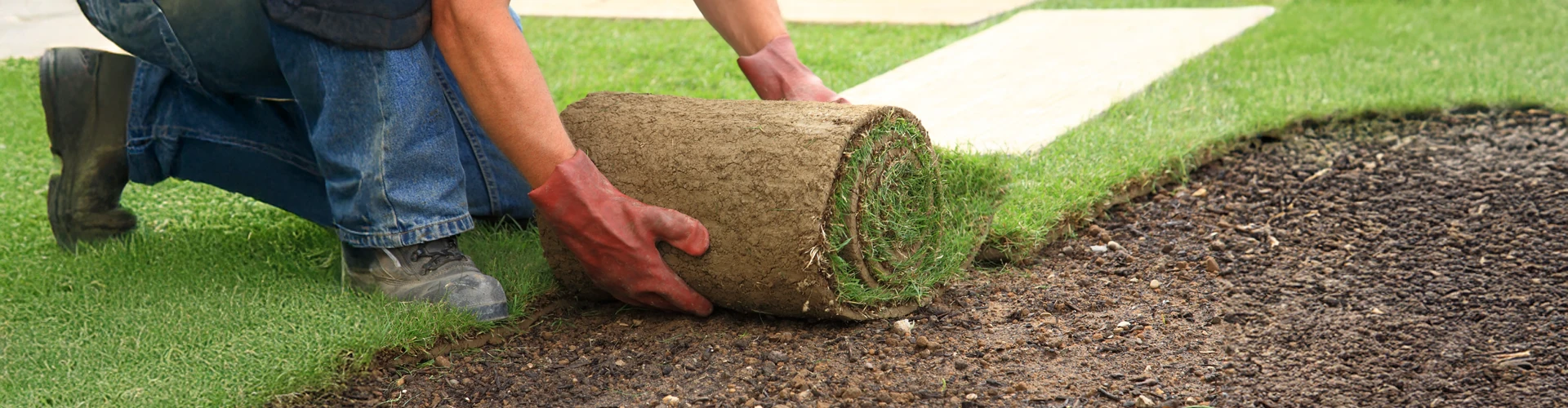 Cr&eacute;ation paysag&egrave;re &agrave; Montlouis-sur-Loire