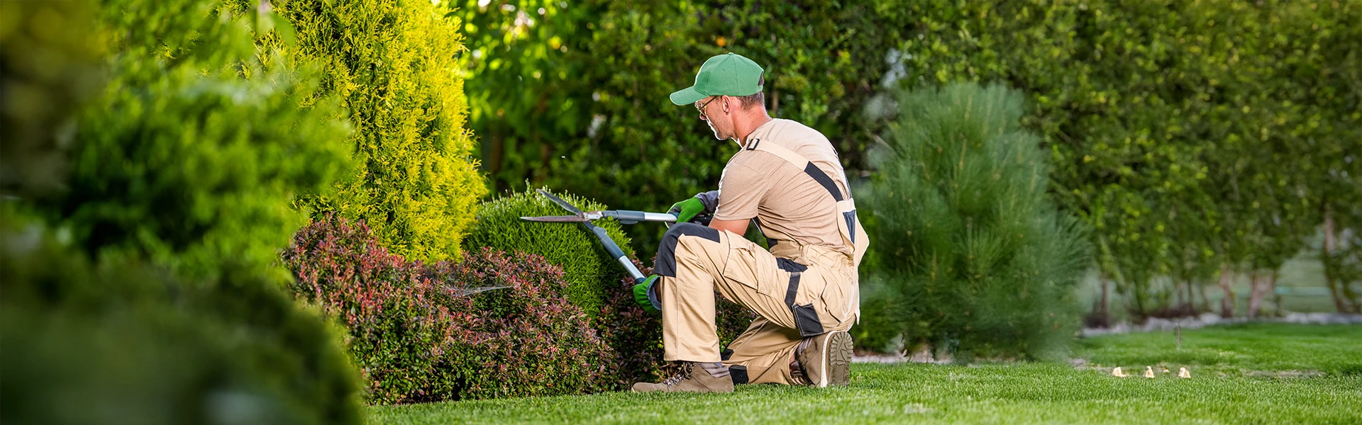 Entretien paysager &agrave; Ath&eacute;e-sur-Cher